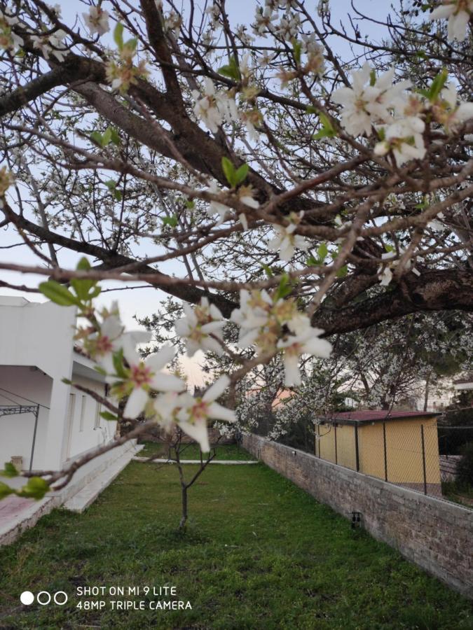 Caledonia Relax Villa Siraküza Dış mekan fotoğraf